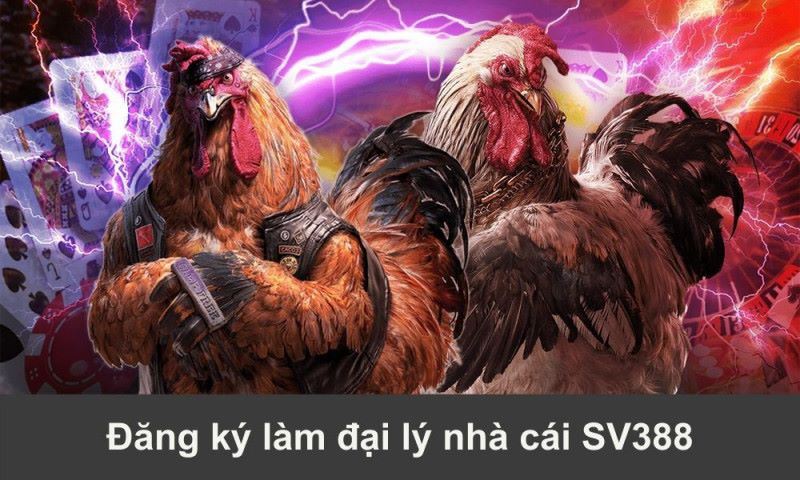 Quy trình đăng ký để trở thành đại lý Sv388